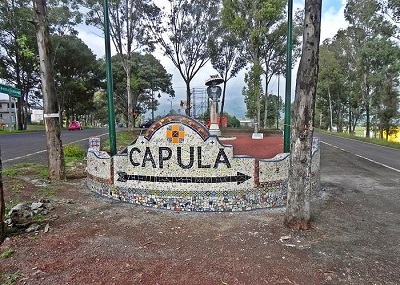 Capula "Lugar de Capulines" del vocablo Purépecha. 