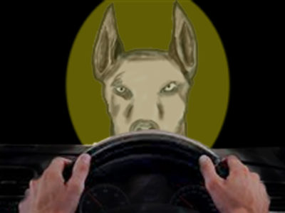 El perro de la curva