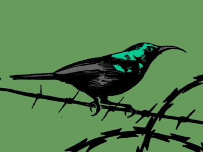 Las imágenes todavía