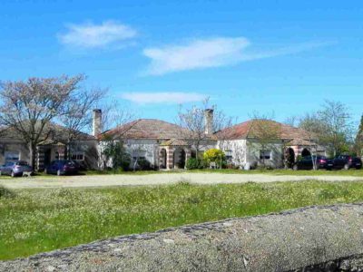 La cola de las lagartijas