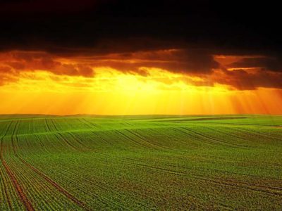 De las cosas del campo, agricultores y ganaderos.