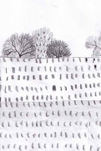 Las pinceladas de los bordes